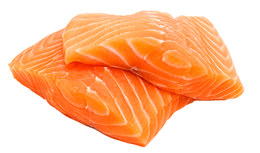 Salmon
