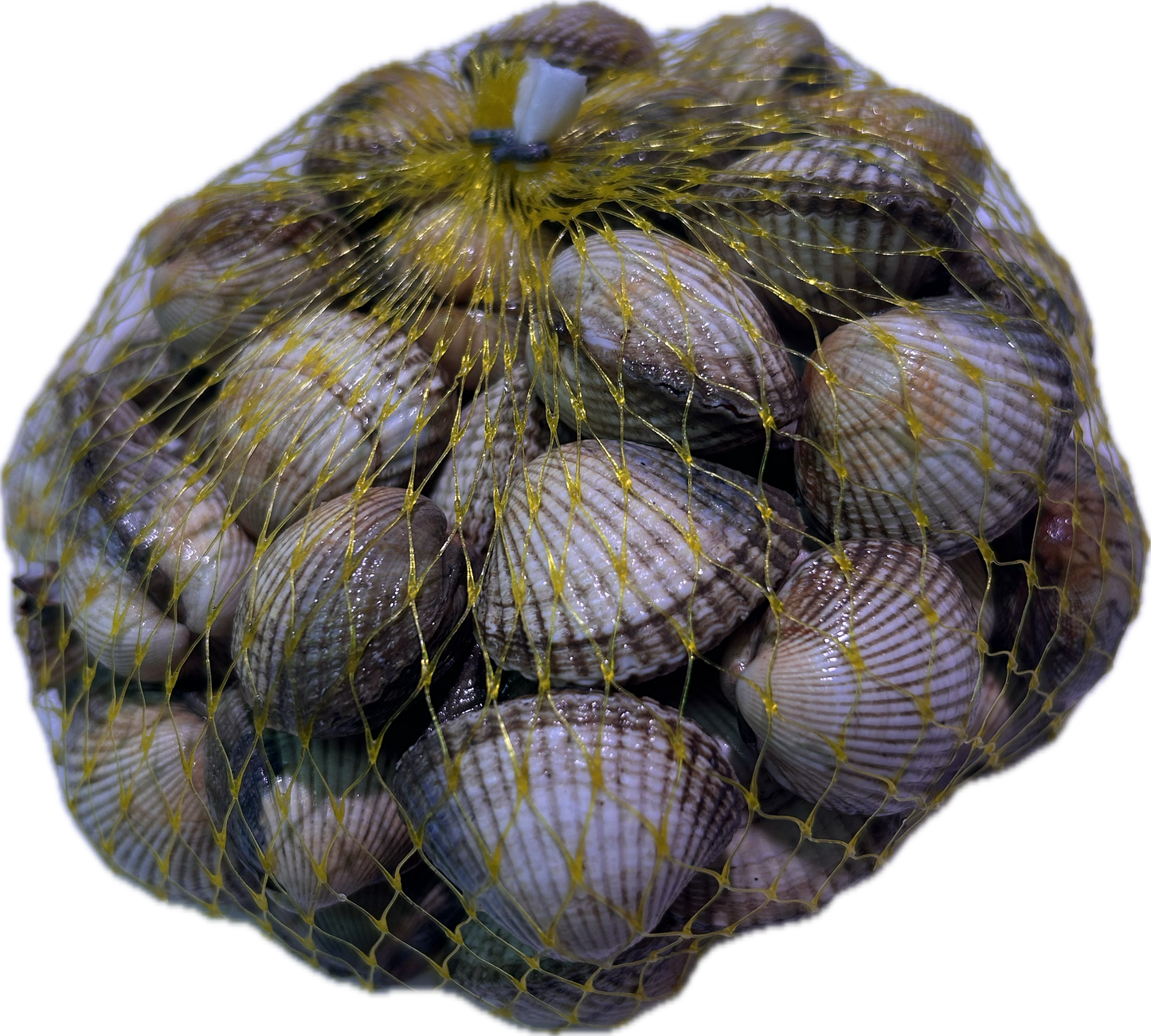 Berberecho