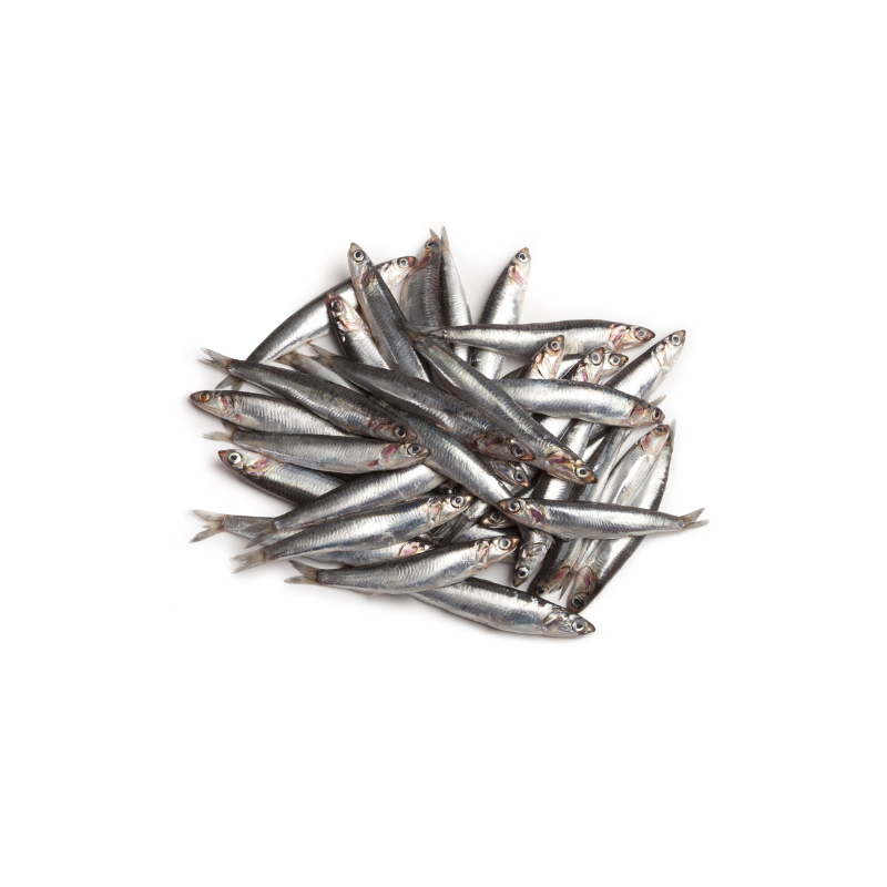 Boquerones