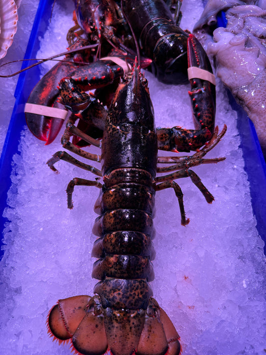 Bogavante