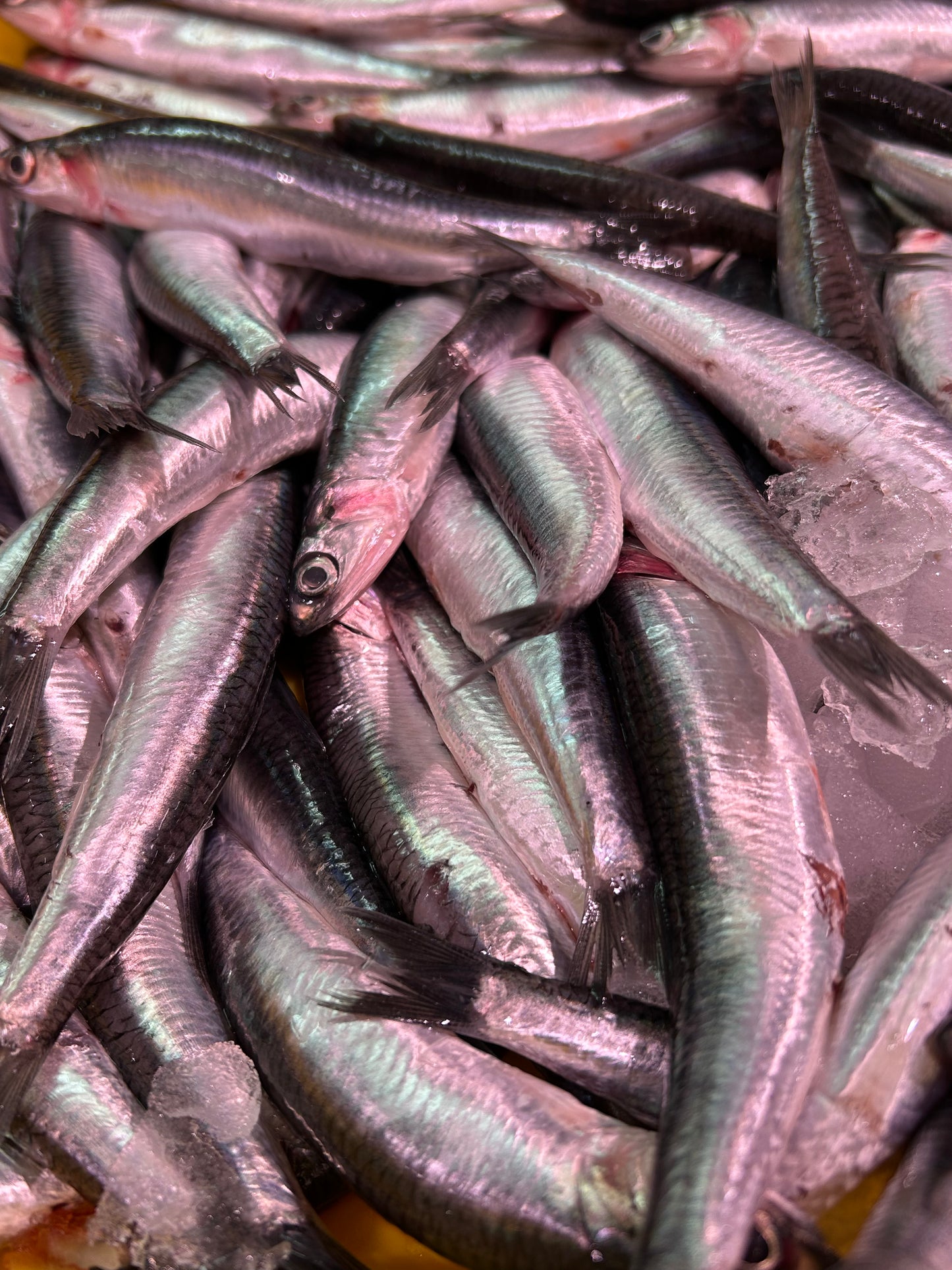 Boquerones
