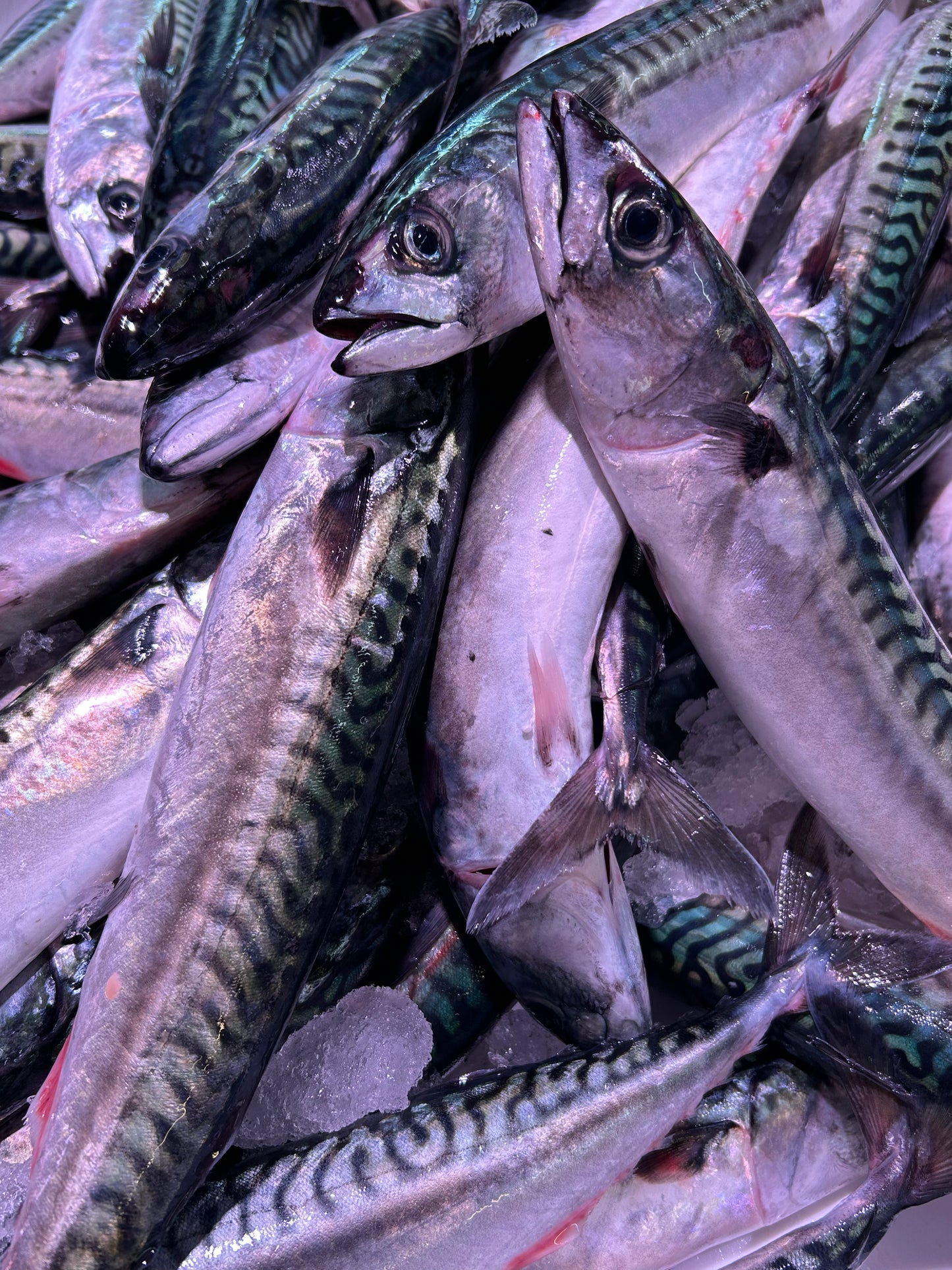 Caballa