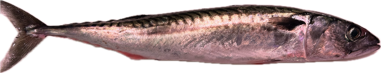Caballa