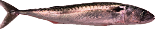 Caballa