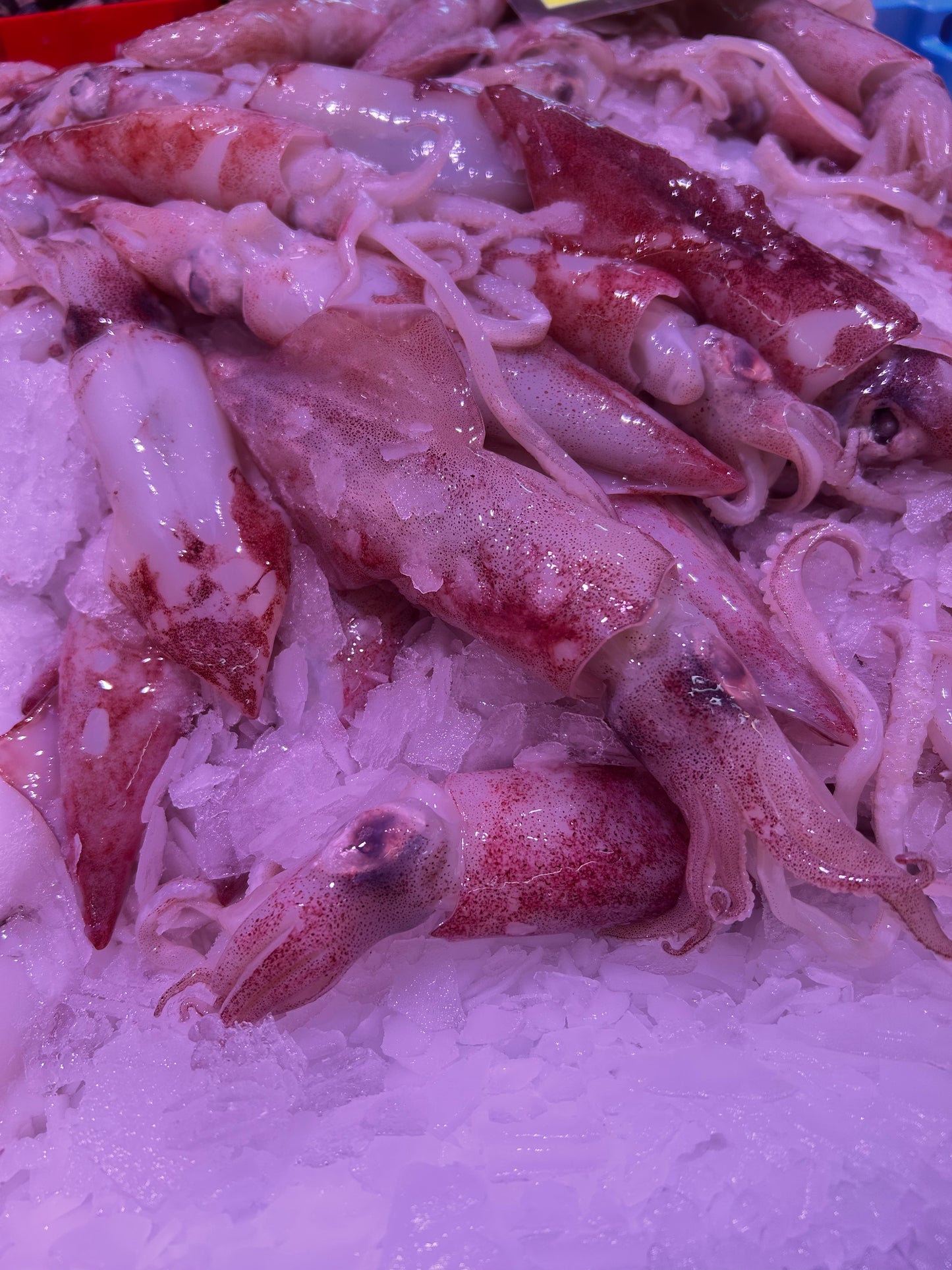 Chipirón