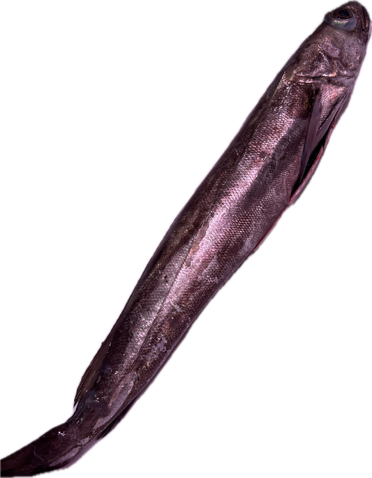 Merluza
